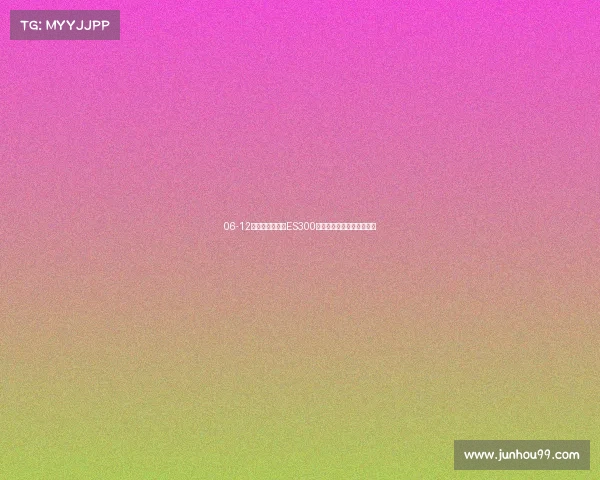 06-12年老款雷克萨斯ES300改装最新款前脸中网大包围