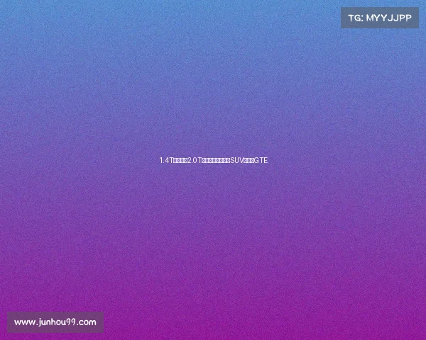 1.4T的油耗,2.0T的动力?这辆大众SUV叫探岳GTE 1.4T的油耗,2.0T的动力?这辆大众SUV叫探岳GTE